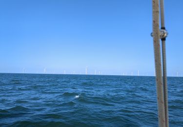 Tour Segelboot - Ile d'Yeu mouillage - Photo