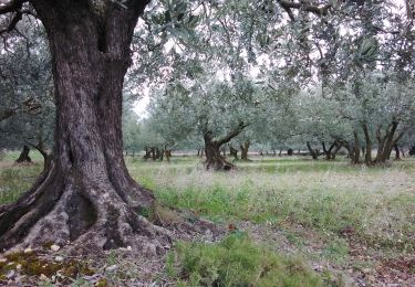 Randonnée Marche Caromb - caromb 84  - Photo