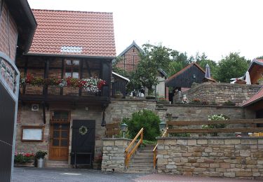 Percorso A piedi Roßleben-Wiehe - Großer Rundweg Hohe Schrecke - Photo