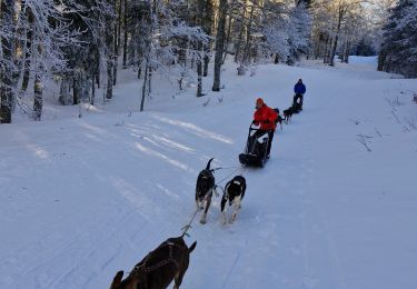 Tour Schneeschuhwandern Bouvante - 20240120fonturle2 - Photo