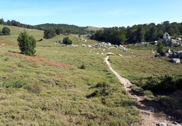 Tocht Stappen Cozzano - GR20 Etape 13 Usciolu Bergerie d'Asinau - Photo