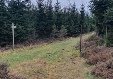 Tour Wandern Saint-Hubert - monument roi albert 2/01/2020 - Photo
