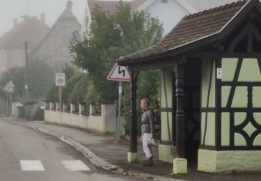 Tocht Stappen Illfurth - Illfurth Luemschwillrr Obermorschwiller - Photo