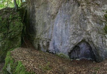 Tocht Te voet Alfeld - Rundweg um die Kirchthalmühle - Photo