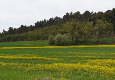 Trail Walking Gardanne - mur gueidan - Photo