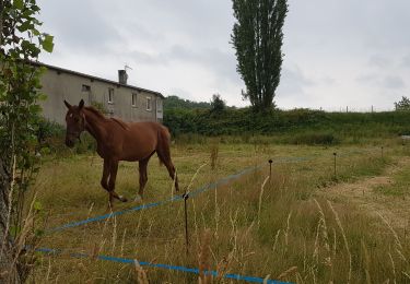 Tour Wandern Ventes-Saint-Rémy - Forêt d'Eawy rando douce - Photo