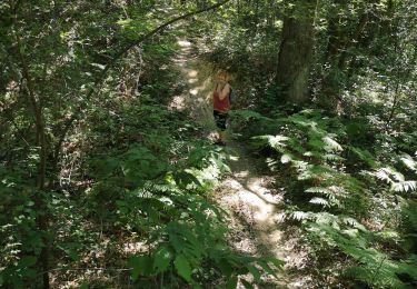 Randonnée Marche Vendôme - bois oratoire - Photo