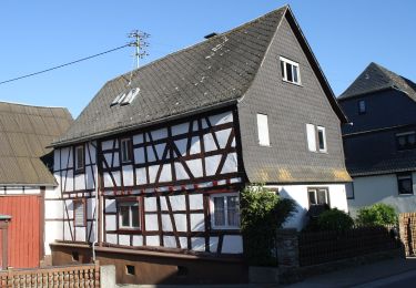 Tour Zu Fuß Rüdesheim am Rhein - Rehkopf - Photo