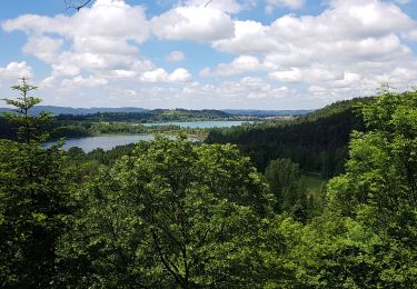 Tocht Stappen Clairvaux-les-Lacs - Clairvaux les Lacs 20190616 - Photo