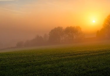 Tocht Te voet Schalksmühle - [A4] Winkeln - Heedfeld - Photo