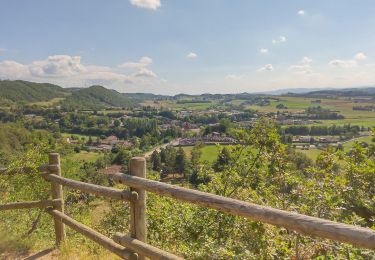 Trail Walking Claveyson - Le bois de Suze - Photo