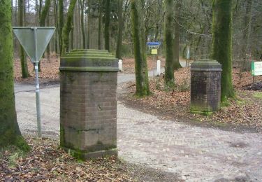 Tour Zu Fuß Renkum - Hoog Oorsprong-Zilverberg-route - Photo