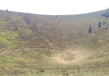 Tour Wandern Orcines - Tour des puys - Photo