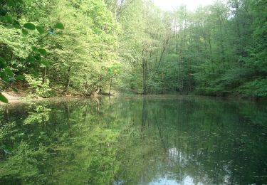 Percorso A piedi Mespelbrunn - Ortswanderweg Mespelbrunn 1 - Photo