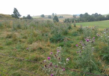 Tour Wandern Nasbinals - nasbinals le deroc - Photo