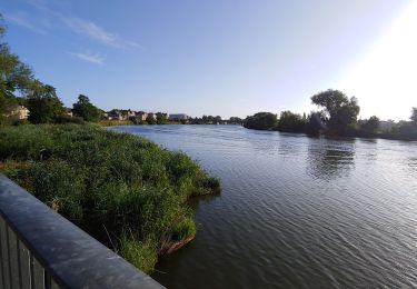 Tour Rennrad Saulny - véloroute metz - Photo