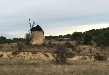 Trail Walking Nissan-lez-Enserune - Nissan-les-Ensérune - Chapelle Saint-Christol - Moulins de Barral et de Tiquet - Photo