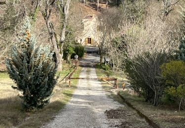 Excursión Senderismo Cheval-Blanc - PF-Cheval-Blanc - Autour de Saint Phalez - Photo