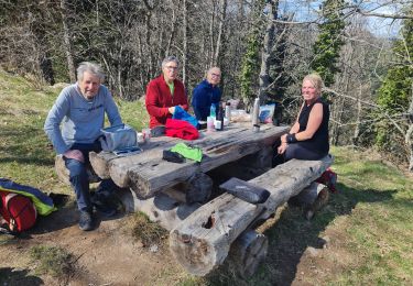 Trail Walking Soultzmatt - Rando Marcheurs ..20/03/2025.. - Photo