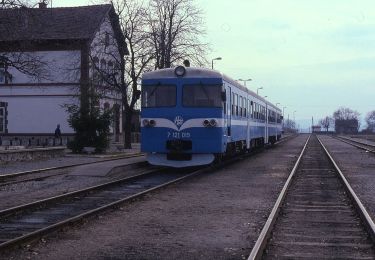 Tour Zu Fuß  - Omladinska staza: Velika - Kaniška glava - Photo