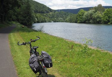 Randonnée A pied Collenberg - Burgberg-Ausblick - Photo