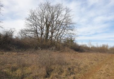Randonnée Marche Parmilieu - ancien sentier des bigues - Photo