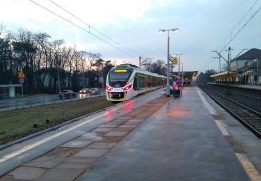 Trail On foot Warsaw - Ścieżka biegowa 