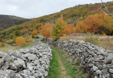 Trail Walking Saint-Étienne-de-Serre - St Etienne de Serre 15km - Photo