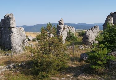 Excursión Senderismo Fraissinet-de-Fourques - Boucle Nîmes le Vieux  - Photo