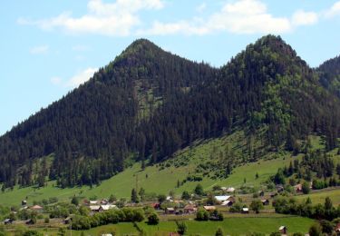 Tocht Te voet  - Pojorâta - traseul 14 BA - Photo