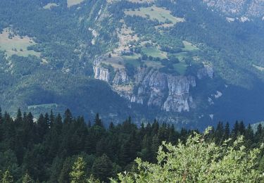 Trail Walking Lans-en-Vercors - mm - Photo