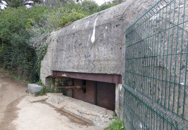 Tour Zu Fuß Cancale - La Pointe du Grouin - Photo