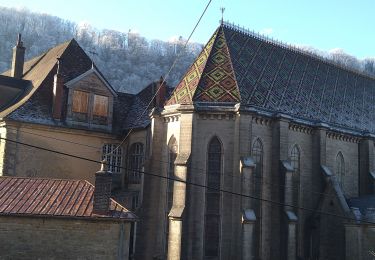 Excursión Senderismo Poligny - Croix du Dan - Photo