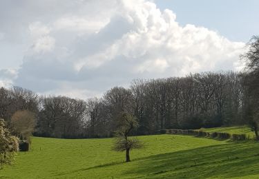 Trail Walking Jalhay - La boucle du dragon et du lion - Photo