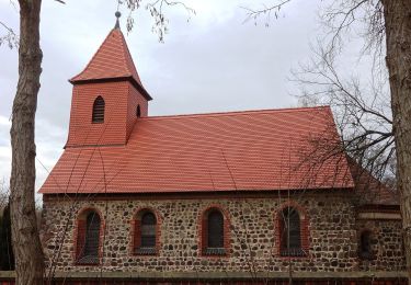 Percorso A piedi Rabenstein/Fläming - Naturparkrundwanderweg 41 - Photo