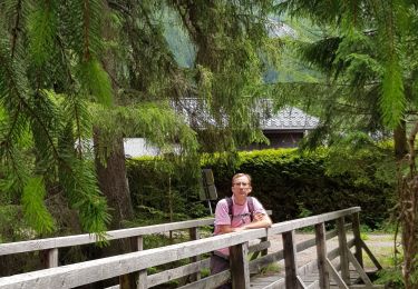 Tour Wandern Chamonix-Mont-Blanc - Promenade du paradis des Praz à Argentière  - Photo