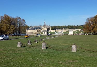 Percorso Marcia Chantilly - chantilly Gouvieux - Photo