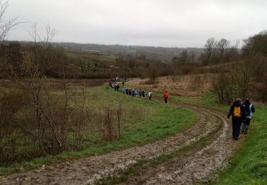 Trail Walking Coupru - Coupru du 03-01-2023 - Photo