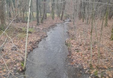 Tour Wandern Bertrix - rando 10 km à Biourge. - Photo