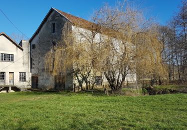 Randonnée Marche Corgnac-sur-l'Isle - Boucle de Puyfebert à Corgnac sur L'isle (24) - Photo