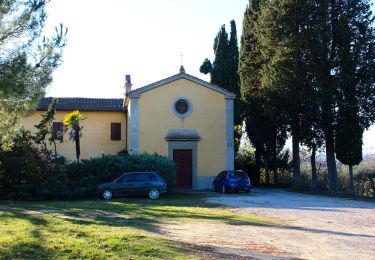 Tocht Te voet San Gimignano - Dolce campagna, antiche mura 20 - Photo