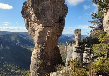 Trail Walking Le Rozier - Rochers de Capluc - Photo