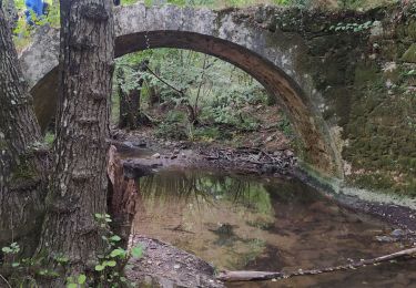 Randonnée Marche Bagnols-en-Forêt - bagnol dn foret  foret royale - Photo