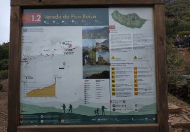 Trail Walking Ilha - 2025-03-30  Pico do Risco - Photo