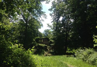 Randonnée A pied Eberbach - Rundwanderweg 3: Burg-Eberbach-Weg - Photo