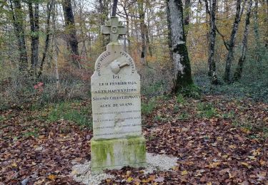 Randonnée Marche Vouthon-Haut - En mémoire de Sidonie - Photo