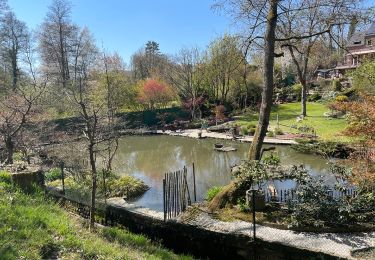 Randonnée Marche Villers-la-Ville - BE-Villers-la-Ville - Sart-Dame-Avelines - Le Bois de Bérines - VLV 9 - Photo