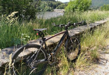 Randonnée Vélo électrique Neuvéglise-sur-Truyère - base nautique Mallet  - Photo