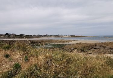 Tocht Hybride fiets Réville - Reville barfleur  - Photo