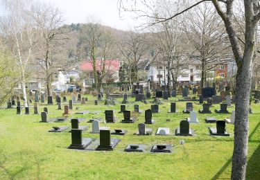 Excursión A pie Marburg - [B2] - Wanderweg des Verkehrs- und Verschönerungsvereins Marburg - Photo